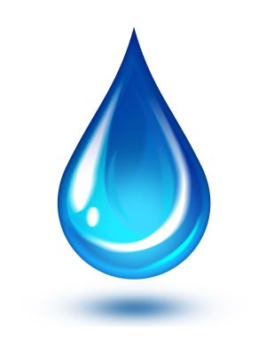 North DeSoto Water System Inc. 